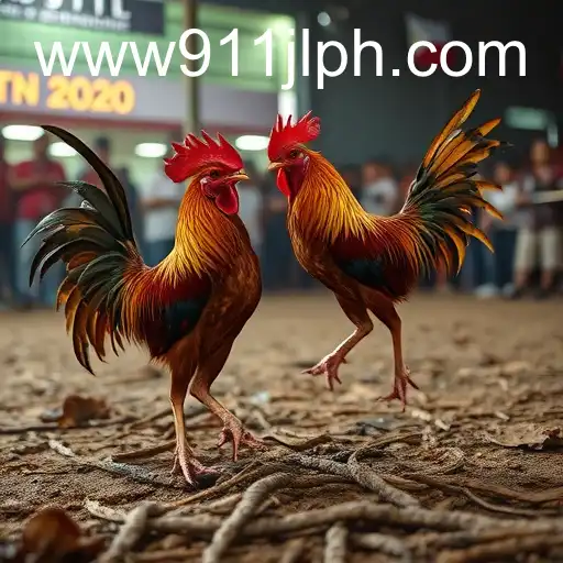 The Rise of Online Sabong with 911JL